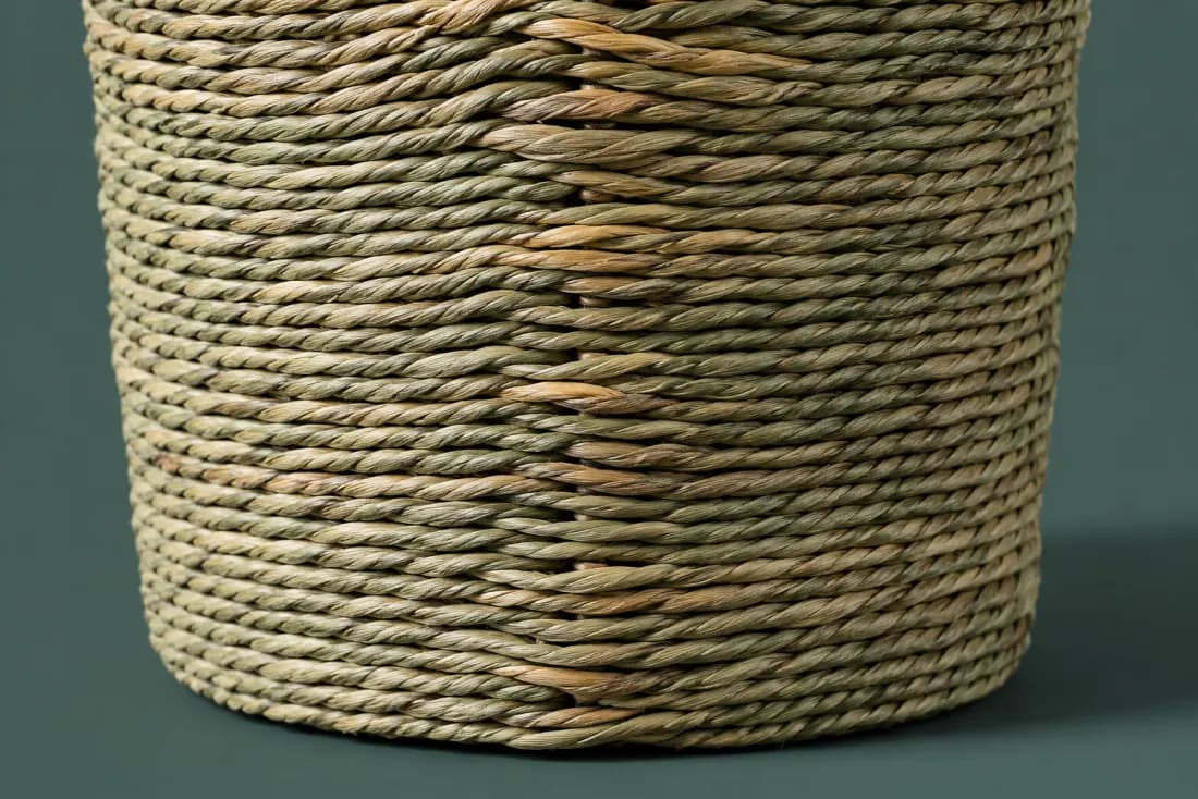 The visible flaw on ON-C-04: The back seam shows a 2 mm gap over about 60 mm of its length. Two stem ends stand proud on the inside face.