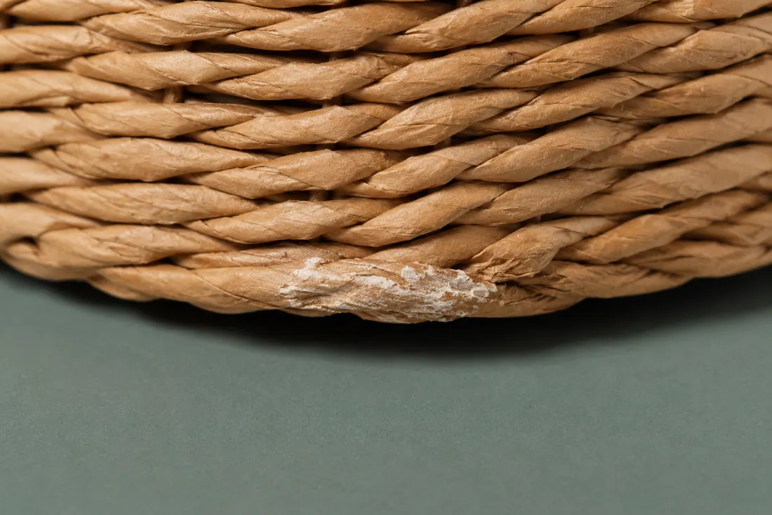The visible flaw on ON-C-08: The paper skin has scuffed white over a 30 mm patch at the lower edge. One stake shows a kink 60 mm above the lower edge.