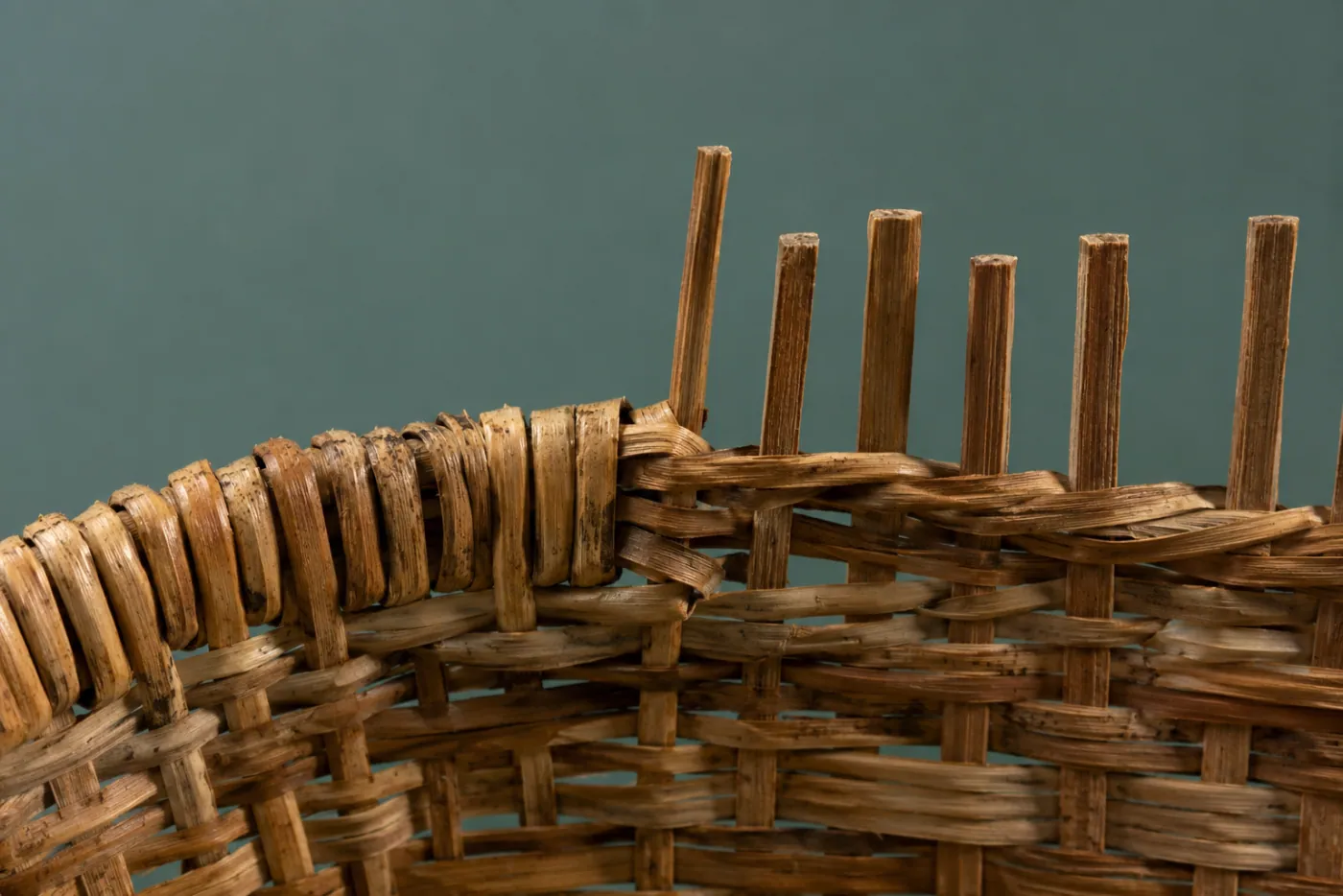 A basket rim part-way through being bound, half the border finished and half still open with the stake ends standing up.