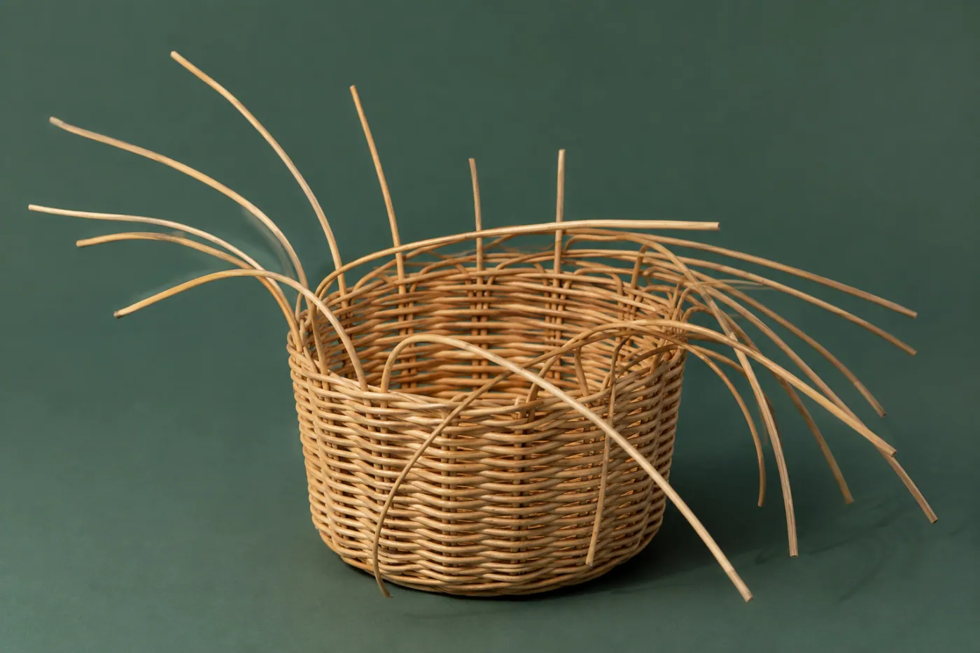 A part-finished hand-woven rattan basket with the working strands still loose.